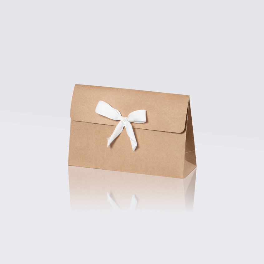 Envelope Bag 12144